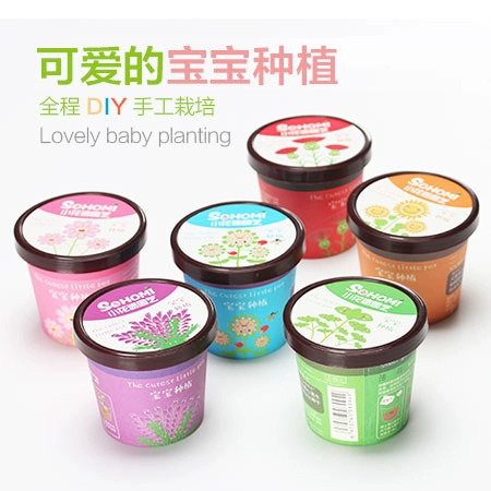 Творческий мини -горшечный офис Небольшой растение посадка на рабочем столе детской детский ролик