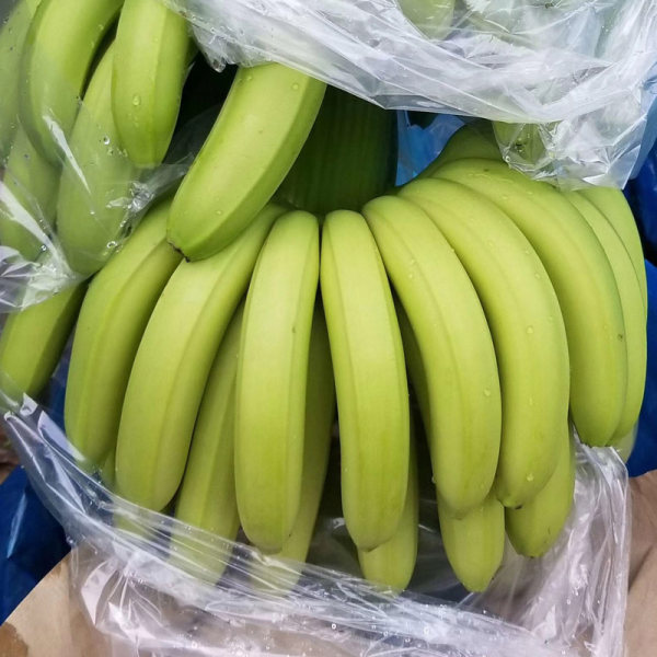 鑫果娃果业 云南河口高山新鲜香蕉 高脚遁地雷 10斤 净重9斤 双重优惠折后￥22.8包邮（拍2件）