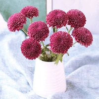 Purple 8 поддержка+2 ветви потери потери является супер длинным
