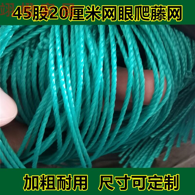 45 shares of 20 cm climbing vine melon fruit climb vine base for household cultivation