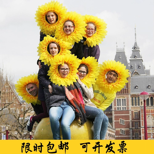 Голова подсолнечника, открытое лицо, солнечный цветочный набор