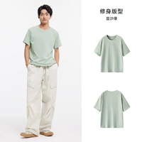 25 недавно модернизированных 100% хлопчатобумажной пасты Зеленая 40083