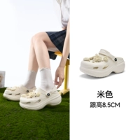 Затяжной рис