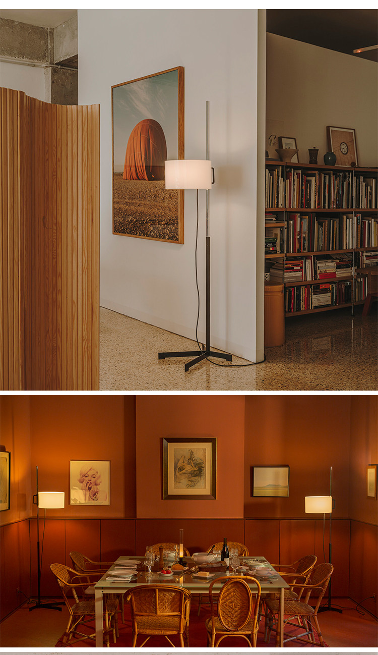 TMC TMM TMM ТРЕМЕННЫЙ ТРУМА