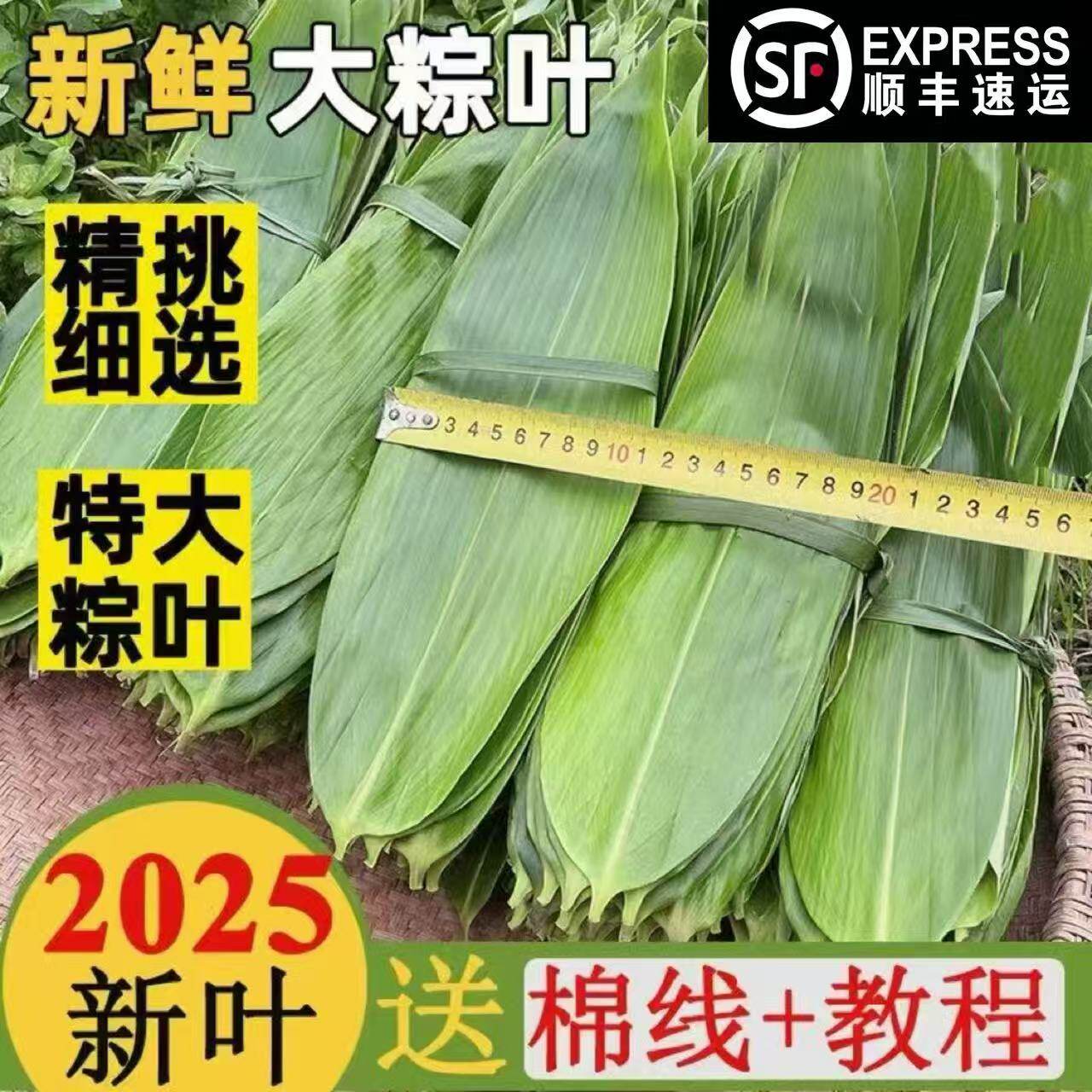 正宗野生大箬叶粽叶，让你的端午节更有仪式感！🌿-粽子-淘宝百科网