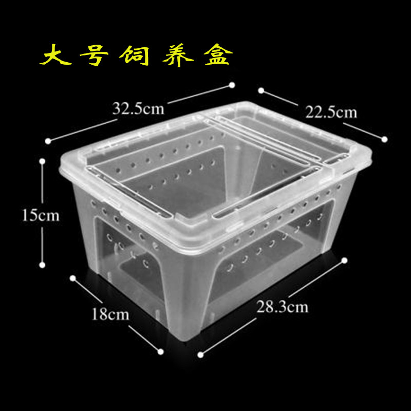 Snail Box Pet Rearing Box White Jade Snail Small CUHK Special Breeding Box Reptile Reptile Climbing for Escape Prevention