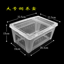 Snail Box Pet Rearing Box White Jade Snail Small CUHK Special Breeding Box Reptile Reptile Climbing for Escape Prevention