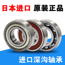 Japan NSK imported bearings 6200 6201 6202 6203 6204 6205 6206 6207ZZ DDU