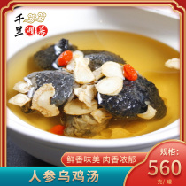 Xiongji Ginseng Chicken Soup Canned 560g Wang Jiao Chicken Soup Pork Belly chicken soup Old duck soup Hubei Terrific heating ready-to-eat