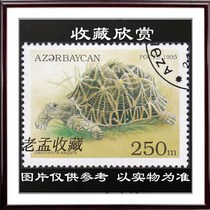 Collect Tortoise Stamps Indian Star-spotted Tortoise (Geochelone elegans) Cancellation Y002