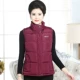 Mẹ tải nữ xuống vest cotton trung thu thu đông các kiểu áo vest nữ hàn quốc