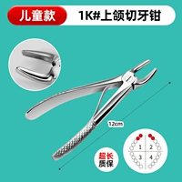 #K#верхнечелюстные резцы (детская модель)