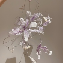 The Purple Kite Tail hands up the flower bridal hand carrying flowers