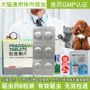 Mới yêu thích Kang dog tẩy giun thú cưng cơ thể côn trùng côn trùng Teddy Golden Retriever lớn chó mèo côn trùng - Cat / Dog Medical Supplies giá máy siêu âm chó mèo