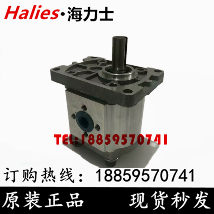 Hydraulic oil pump gear pump CBN CBT F304 F306 F310 F314 F316 E around 320 25
