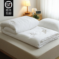  Cotton soybean fiber quilt Spring and autumn quilt warm thickened winter quilt single double cotton air conditioning quilt quilt core