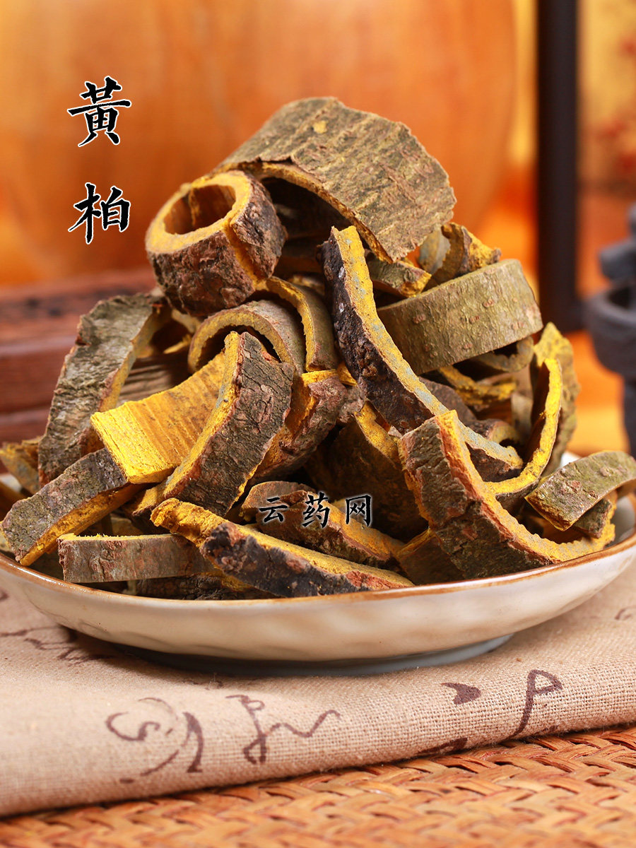 黄柏/生黄柏_常用100个中药品种_常用药材_云药网