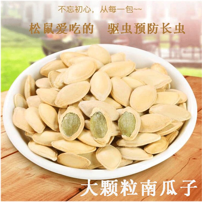 Main eclipse of the Lord of the Lord's snowy golden flower squirrels The main food snacks large grain for the prevention of raw insect repellent raw South melon seeds