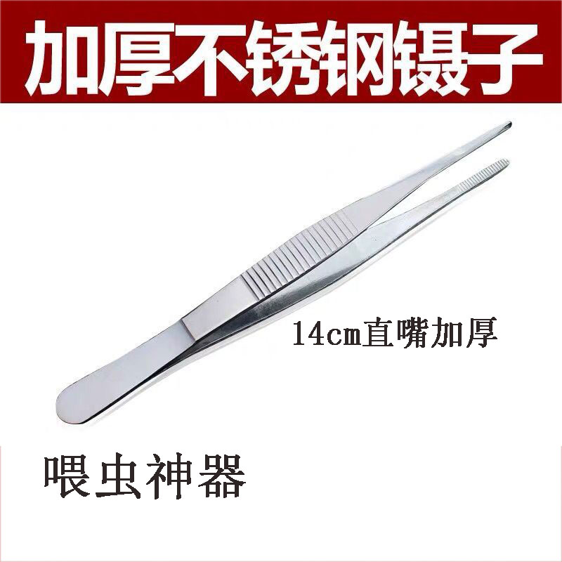 Squirrel hamster honey bag Accessories Clips Stainless Steel Tweezers Clip Bread Worm Tank Worm Barley Insect Feeding Tools