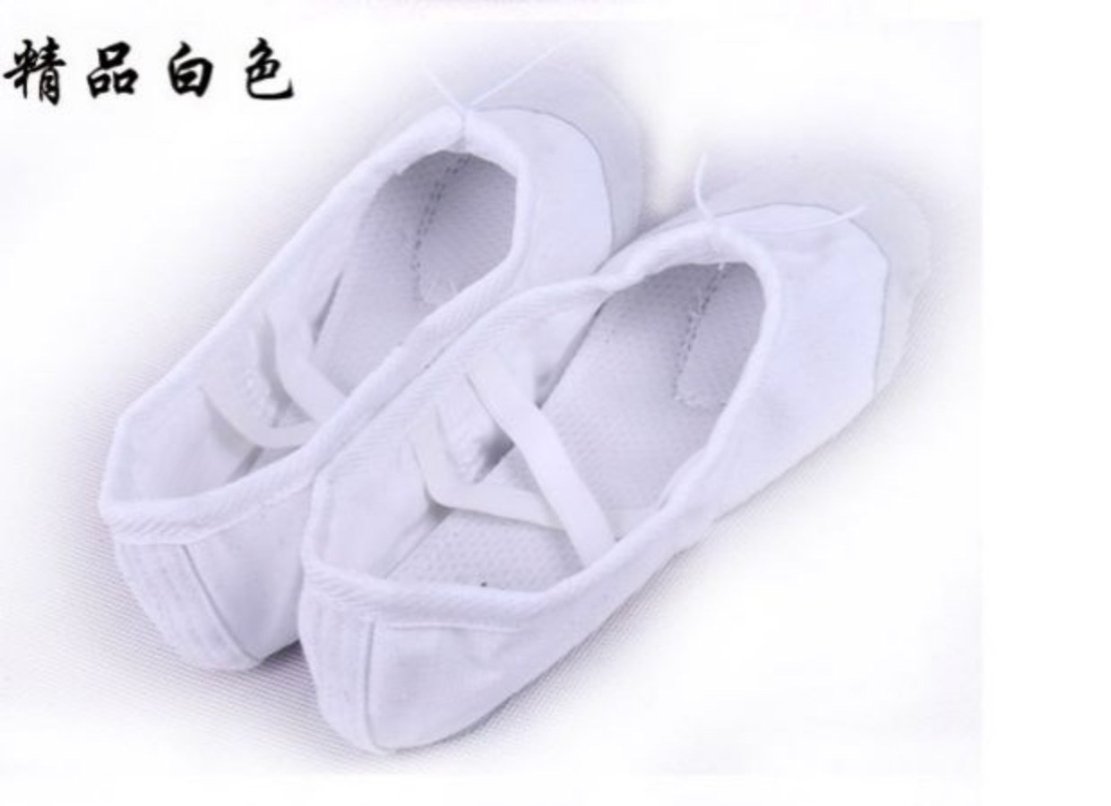 Giày khiêu vũ phân loại giày yoga giày ba lê giày thể thao học sinh giày thể dục tám móng giày thể dục nhịp điệu giày giày múa cho bé gái