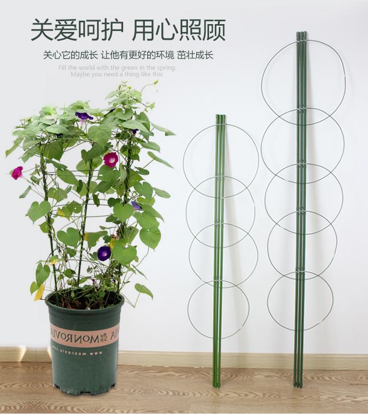 Potted fixed iron ring Flower frame Vine Climbing Vine Moon Season Shelf Gardening Bracket Wrap Plastic Iron Ring Flower Pillar 3