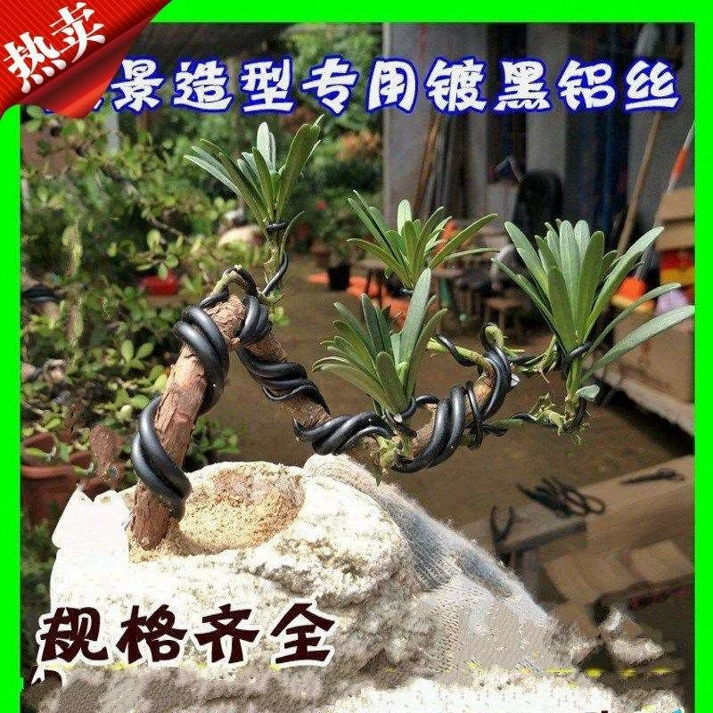 Chậu cong Podocarpus dây thông dây hình dạng đặc biệt dây nhôm bó dây làm vườn khác vật tư làm vườn dây nhôm cây đen bonsai - Nguồn cung cấp vườn