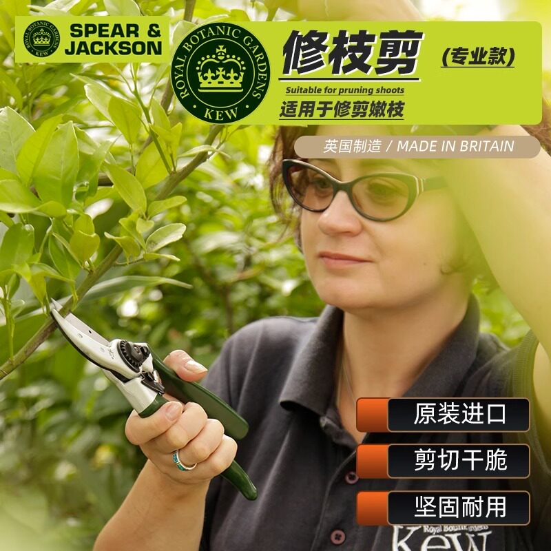 英国进口SPEAR &amp; JACKSON专业园艺剪枝果树树枝园林花枝花艺剪刀