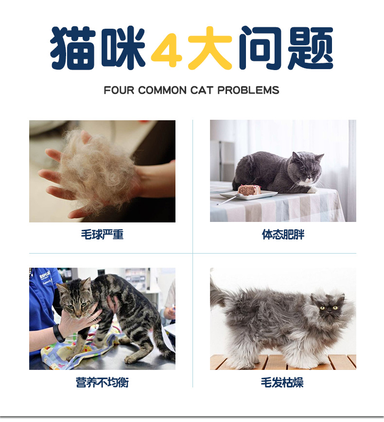 Mua 1 tặng 1 thức ăn cho mèo vui vẻ miễn phí thức ăn cho mèo - Cat Staples thức ăn cho mèo mẹ mới đẻ