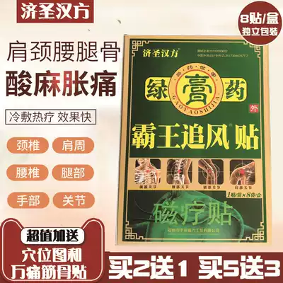 Jisheng Kampo green plaster Overlord chasing wind sticker Magnetic therapy sticker ns