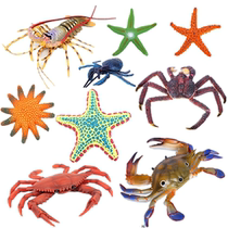 Simulation Marine Animal Sestar Shuttle crab model Toy king crab Coconut Crab Big children Cognitive Gifts