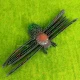 1 Little Spider Software 