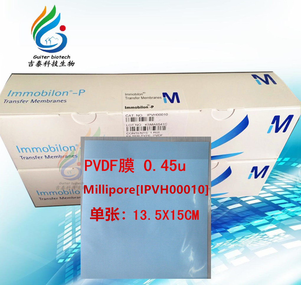 PVDF膜 密理博IPVH00010 Millipore 0.45u 单张15cm*13.5cm/单张