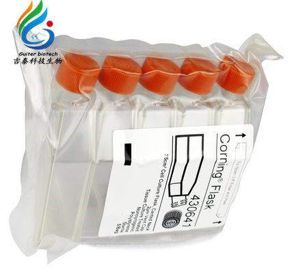 Conning 75cm2 cell culture bottle T75 TC surface breathable cover sterilization CORNING 430641