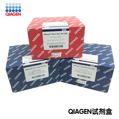QIAGEN试剂盒QIAamp MinElute Virus Spin Kit 57704
