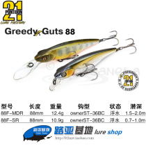 Japan PONTOON 21 Floating Mino GreedyGuts 88F SP-MDR Luya Bait