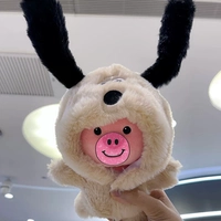 Летучая собака Ссылка