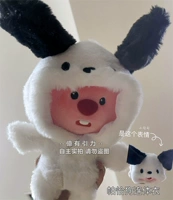 Pachaus изучать одежду [хвостовая тибетская одежда внутри]