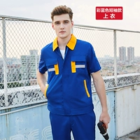 Красочные синие коротки (топы)