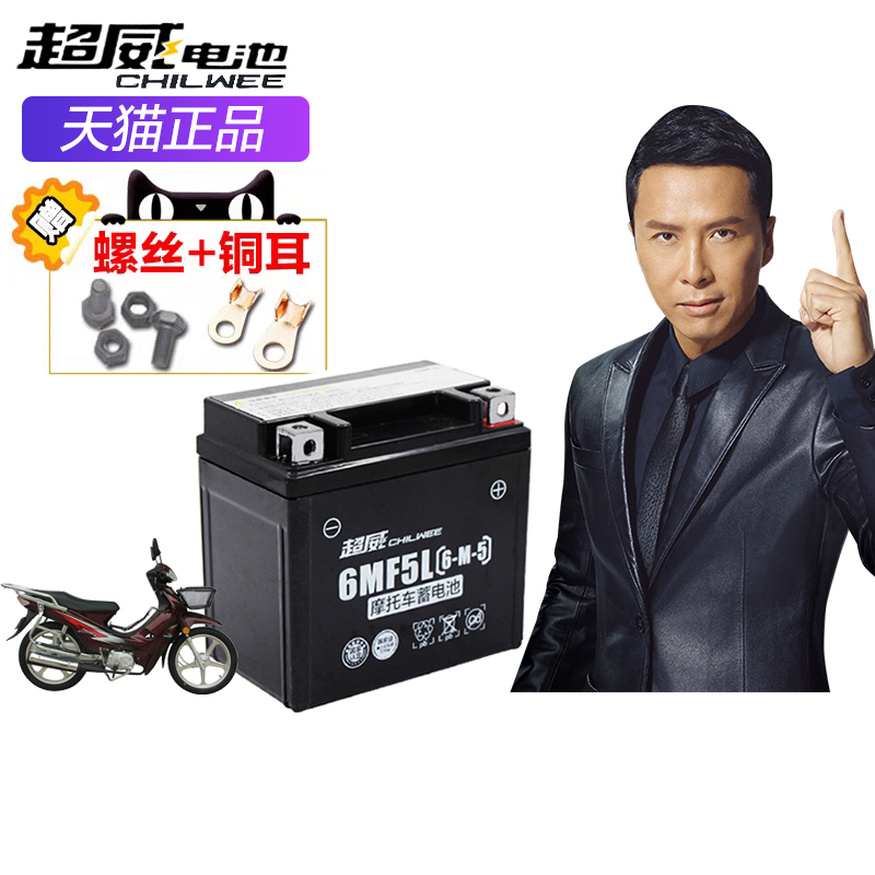 Superb Scooter Battery 12V5 Maintenance-free Storage Battery YTX5L-BS Five Sheep Small Princess Chagger 100 Battery