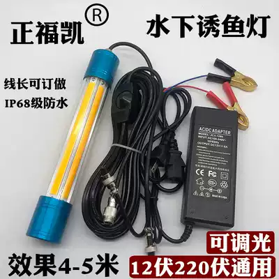 Zhengfukai 12V underwater lure fish light dimmable raft fishing light 100W underwater light 220V squid gathering fish night fishing light