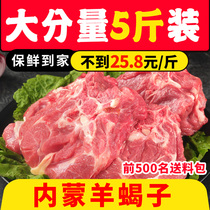 5kg of sheep scorpion fresh Inner Mongolia Raw Mutton hot pot frozen fresh non-current killing sheep spine with meat sheep bones 4