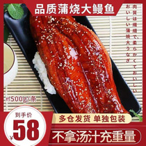 Japanese eel scorpion 500g fresh carbon roasted eel rice heated ready-to-eat meat commercial fresh Net Red Sushi Daily