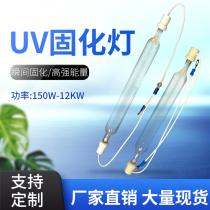 9 6kw ultraviolet lamp UV curing lamp high pressure mercury lamp printing paint ink fast drying light source
