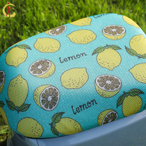 No. 9 battery car seat B30C 9 electric car cushion B110P tram seat suite B30 sun protection accessories