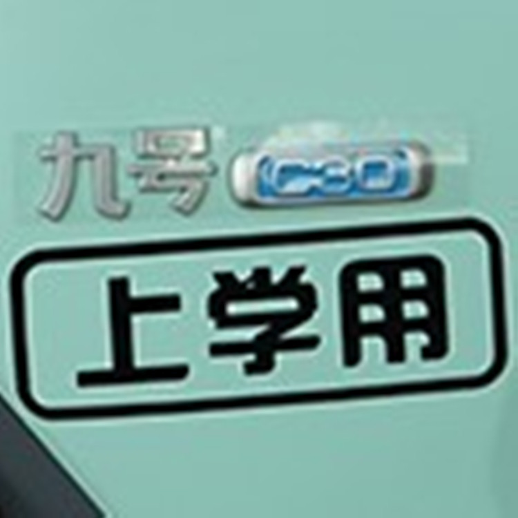 9th electric car sticker New C car sticker C2021 decoration C30Lite laflower C60 applic with flower C adhesive film ninebot
