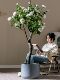 High-End Rose Camellia Floor-Standing Decorative Flowers, Simulated High-End Living Room Plastic Fake Flowers, Fake Trees and Green Plants