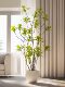 Artificial Green Plant Lily Bamboo Indoor Living Room Large Floor-Standing Ornament Fake Tree High-End Bionic Plant Tree Landscaping