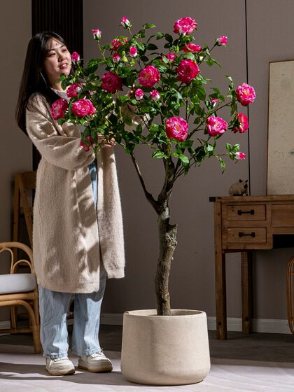 High-End Rose Camellia Floor-Standing Decorative Flowers, Simulated High-End Living Room Plastic Fake Flowers, Fake Trees and Green Plants