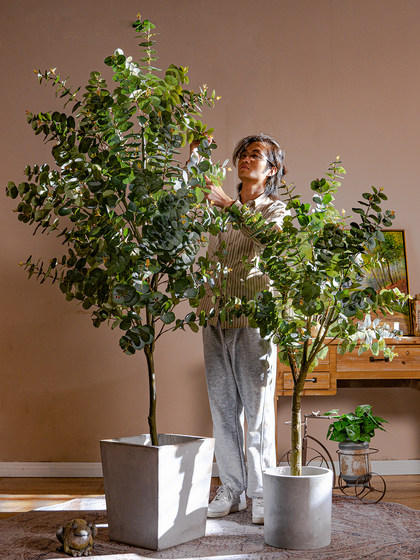 Sen Yicheng Artificial Gray-White Eucalyptus Green Plant Fake Tree Potted Plant Indoor Living Room Shop Window Decoration Ornament