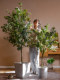 Sen Yicheng Artificial Gray-White Eucalyptus Green Plant Fake Tree Potted Plant Indoor Living Room Shop Window Decoration Ornament
